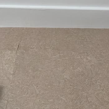 DASK Eksper Ataması Gelmedi