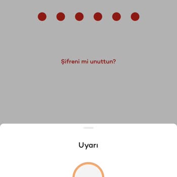 Akbank Yatırım İşlemleri Hisse Senedi