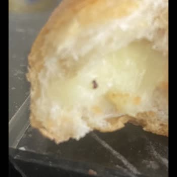 Tarabya Kaşar Peyniri Böcek Çıktı