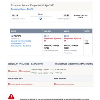 THY Promosyon Bilet Sorunu.