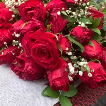 ÇiçekSepeti Çiçek Sepetinden Sevdiklerinize Kötü Çiçekler