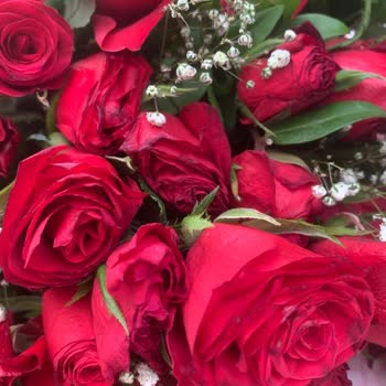 ÇiçekSepeti Çiçek Sepetinden Sevdiklerinize Kötü Çiçekler