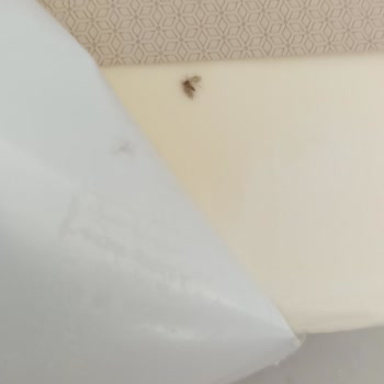 Sana Margarin Sana Bitkisel Margarin