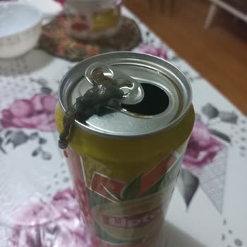 Lipton ice Tea Lipton Ice Tea Den Çıkan Garip Şey