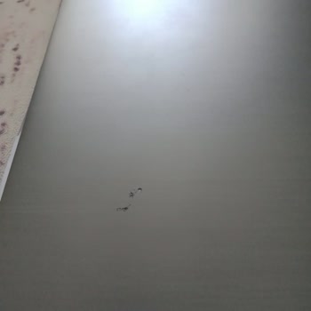 Lenovo Bilgisayar Lenovo İstanbul İlgisizliği