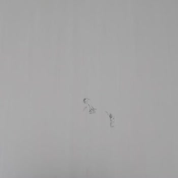 Lenovo Bilgisayar Lenovo İstanbul İlgisizliği