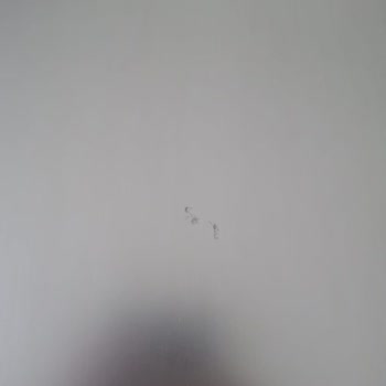 Lenovo Bilgisayar Lenovo İstanbul İlgisizliği