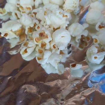 Çerezza Marka İçinden Böcek Çıktı