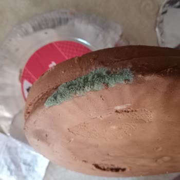 Uno Ekmek Şok'tan Aldığım Pasta Küflü Çıktı