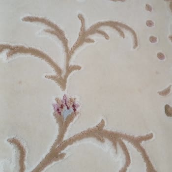 Pınar Halı Yıkama (Bursa) Saygısız Tavır Ve Söylemler