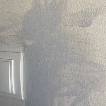 Polisan Katalog Ve Duvar Renkleri Farklı