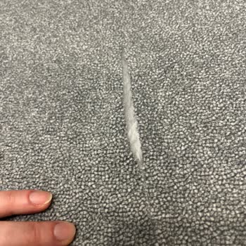 Enza Home Pati Dostu Kumaşın Yırtılması