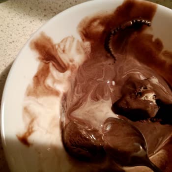 Rusty Metal Piece Found in Algida Carte Dor Ice Cream