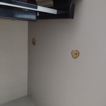 Weltew Home Kesinlikle Bir Hata