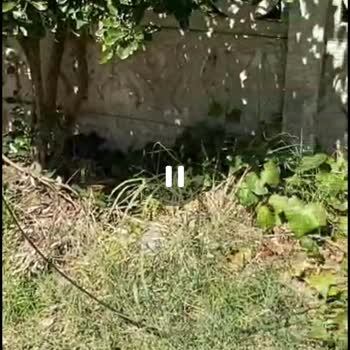 TurkNet Sakarya Karasu 1 Aydır İnternet Arızasının Giderilmemesi!