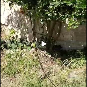 TurkNet Sakarya Karasu 1 Aydır İnternet Arızasının Giderilmemesi!