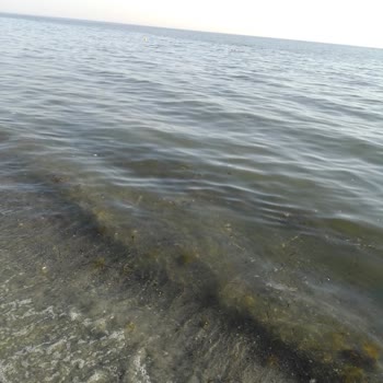 Çevre, Şehircilik Ve İklim Değişikliği Bakanlığı Dereağzı Mahallesindeki Deniz Kirliliği