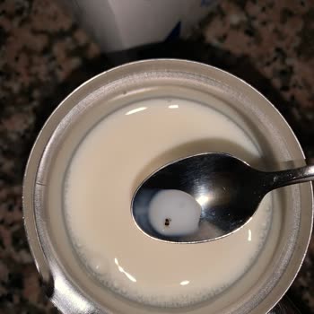 BİM'den Alınan Sütün İçinden Çıkan Böcek