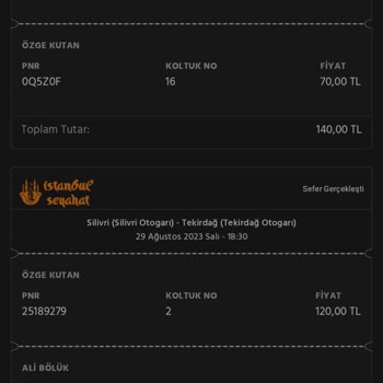 İstanbul Seyahat Mağduriyetim Giderilmediği Gibi Üstüne Para Alındı Şikayetçiyim.