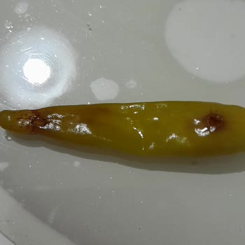 Tukaş Marka Kornişon Turşuyla İlgili Şikayetim