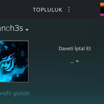 Steam Sahte Hesaba Takas Teklifi Gönderdi, Dava Edebilir Miyim?