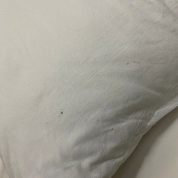 ETS Tur Aracılığı İle Panormos Didim Hotel Deneyimi