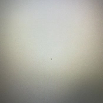 Lenovo Bilgisayar Lenovo Ölü Piksel Konusu İçin Değişim