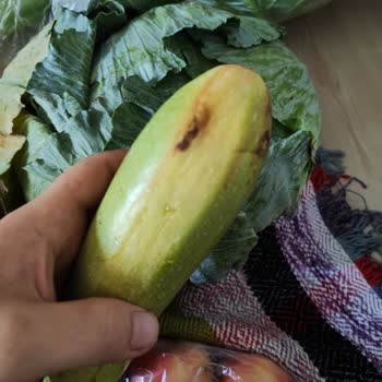 Migros Çürük Sebze Yolluyor İade Almıyor 4 Gündür