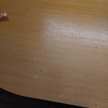 Selectum Family Resort Side Memnuniyetsizliği