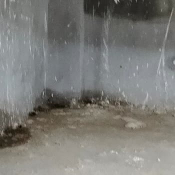 Bayraklı Belediyesi Binamız Su Alıyor!