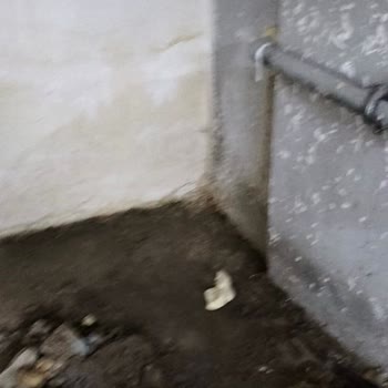 Bayraklı Belediyesi Binamız Su Alıyor!