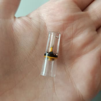 Natural Bastet Kedi Kumunun İçinden Yabancı Madde Çıkması