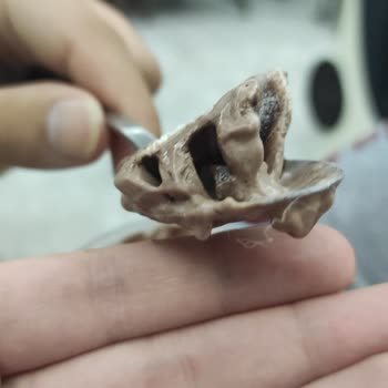 Carte d'Or Carte Dor İçerisinden Beyaz İpler Çıkması