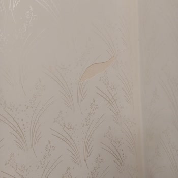 DASK (Doğal Afet Sigortaları Kurumu) Depremde Oluşan Hasar