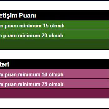 Siliconmade Academy Siliconmade Puanlama Saçmalığı