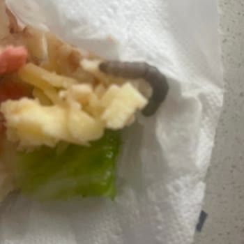 Bekiroğlu Baklava Titiz Değilsiniz Pek