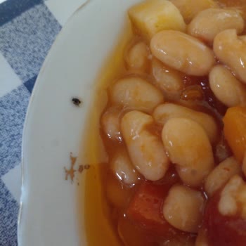 Tat Gıda Tat Fasulye Pilaki Konservesinden Böcek Çıktı