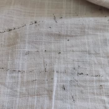 Altınyıldız Pantolonun Bel Kısmındaki Lastiğin Gömleğe Yapışması