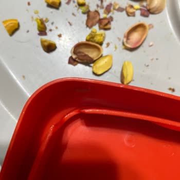 Anka Gross Ankagross Kurtlu Antep Fıstığı