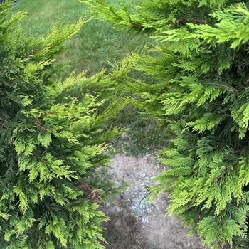 Kahramanpen Kasten Yapılan Davranış!