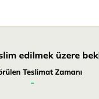 UPS Türkiye Kargo Takibi Yapılamıyor