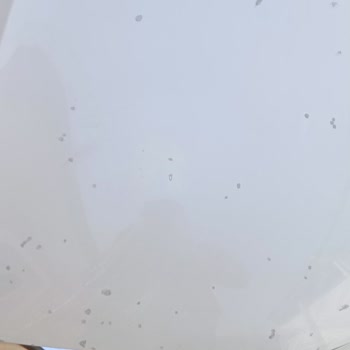 N11 Tek Politikası Para