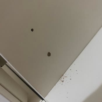 Bellona Vilza Yatak Odası Pişmanlıktır!