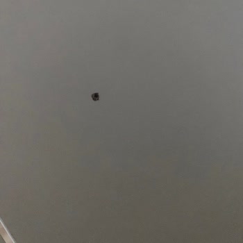 Bellona Vilza Yatak Odası Pişmanlıktır!