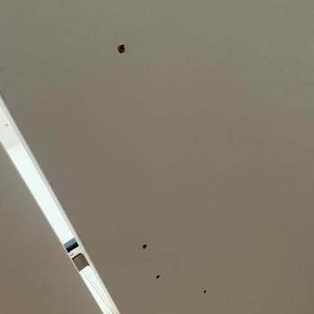 Bellona Vilza Yatak Odası Pişmanlıktır!