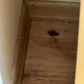 Jolly Tur Otel Önerisi Felaketi.