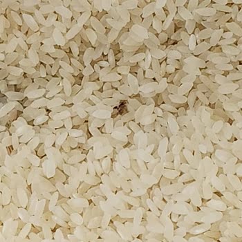 Tarım Kredi Kooperatif Market Baldo Osmancık Pirinç