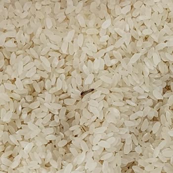 Tarım Kredi Kooperatif Market Baldo Osmancık Pirinç