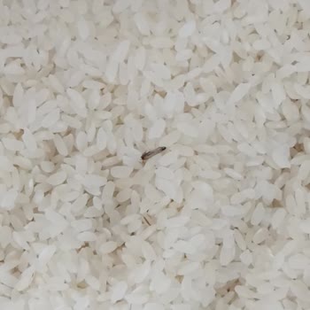 Tarım Kredi Kooperatif Market Baldo Osmancık Pirinç