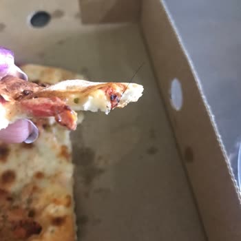 Pidem Restaurant Pideden Kıl Çıktı